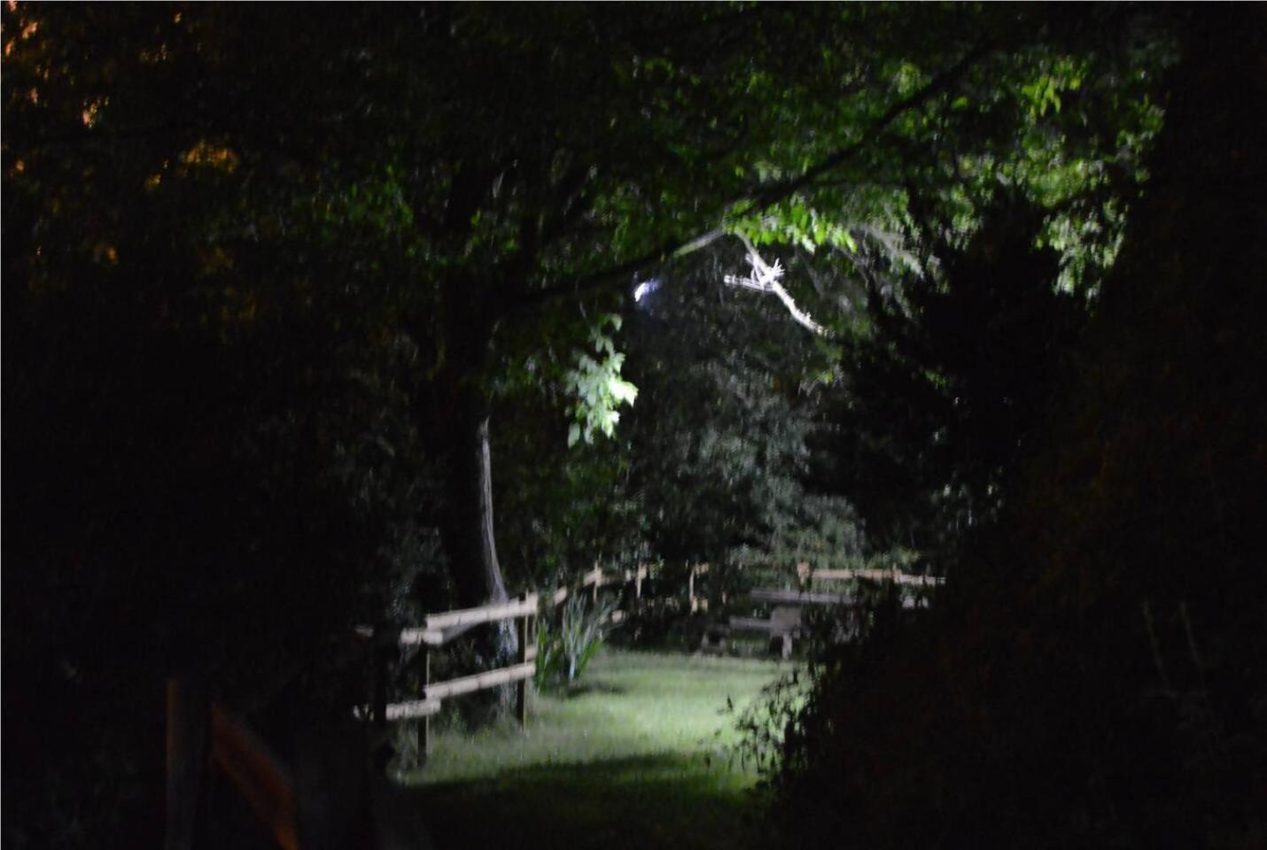 El Cajigar Ordesa Ainsa Casa Rural Laspuña Esterno foto